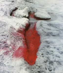 ana-mendieta-earth-work-2