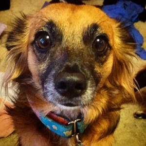 tumblr_npyqftdd3x1qa1i3eo3_1280