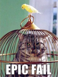 catt-epic-fail
